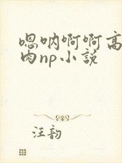 嗯呐啊啊高h纯肉np小说