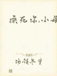 操死你,小母狗