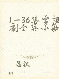 1—36集电视剧全集小敏家
