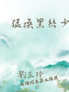 猛操黑丝少妇