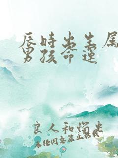 辰时出生属龙的男孩命运