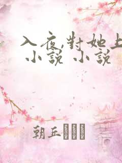 入夜,对她上瘾 小说 小说
