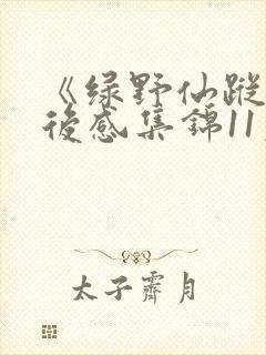 《绿野仙踪》读后感集锦11篇