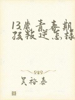 13岁青春期男孩叛逆怎样引导