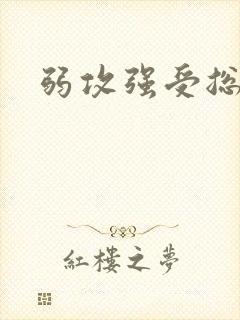 弱攻强受总攻