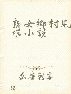 熟女乡村风流大坑小说