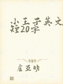 小王子英文版简短20字