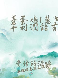 养蛋鸡1万只一年利润能有多少