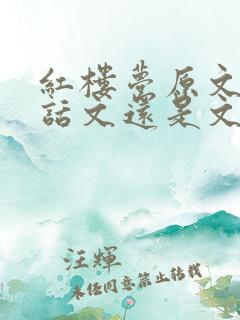 红楼梦原文是白话文还是文言文