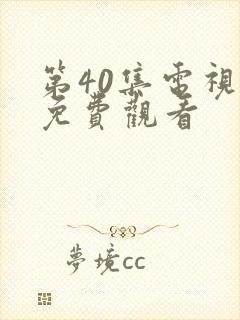 第40集电视剧免费观看