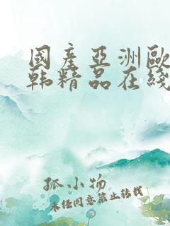 国产亚洲欧美日韩精品在线
