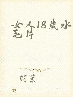 女人18岁水多毛片