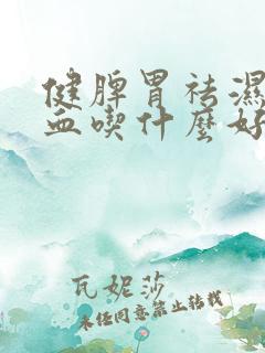 健脾胃祛湿补气血吃什么好