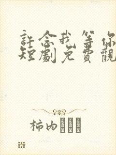 许念我等你十年短剧免费观看