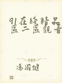 91在线精品一区二区观看