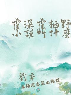 霍深霍栖野夏稚小说叫什么名字