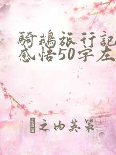 骑鹅旅行记读后感悟50字左右