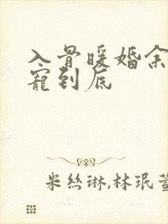 入骨暖婚余生一宠到底