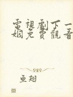 电视剧下一站婚姻免费观看全集剧情