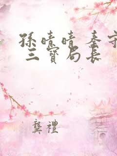 孙晴晴 秦守仁 三宝局长