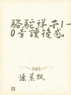 骆驼祥子1—10章读后感