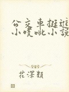 公交车挺进她的小噗呲小说