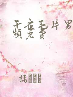 午夜毛片男女视频免费