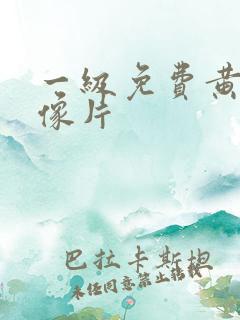 一级免费黄色录像片