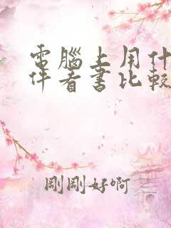 电脑上用什么软件看书比较好