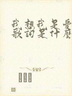 我想我是爱你的歌词是什么歌