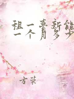 租一台新能源车一个月多少钱