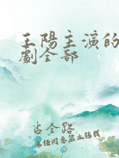 王阳主演的电视剧全部