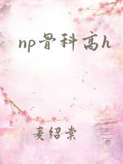 np骨科高h