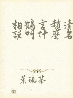 相鹤言赵清梨小说叫什么名字