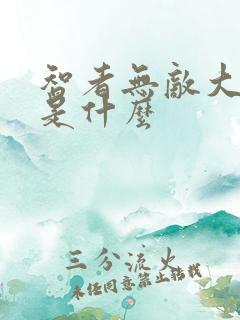 智者无敌大结局是什么