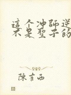 这个冲师逆徒才不是圣子的小说