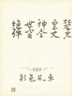 绝世神皇楚风无弹窗全文免费阅读