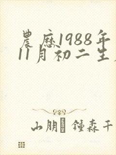 农历1988年11月初二生辰八字