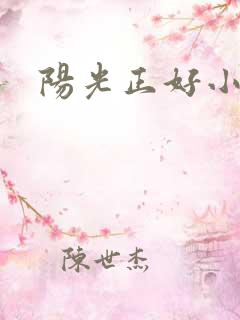 阳光正好小说