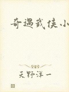 奇遇武侠小说