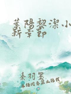 叶阳黎洁小说最新章节
