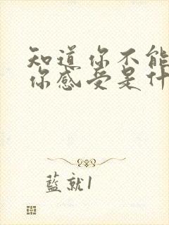 知道你不能还要你感受是什么歌