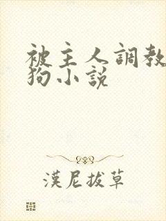 被主人调教成母狗小说