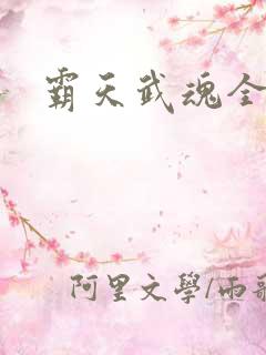 霸天武魂全本