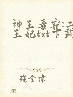 神王毒宠:二嫁王妃txt下载