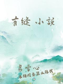 有缝 小说