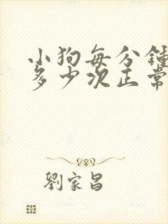 小狗每分钟呼吸多少次正常