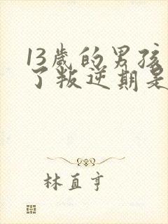 13岁的男孩到了叛逆期是怎么教