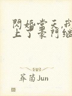 闪婚当天,我怀上了豪门继承人