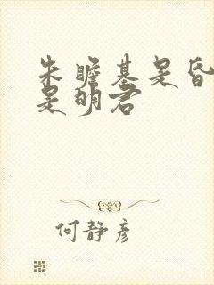 朱瞻基是昏君还是明君